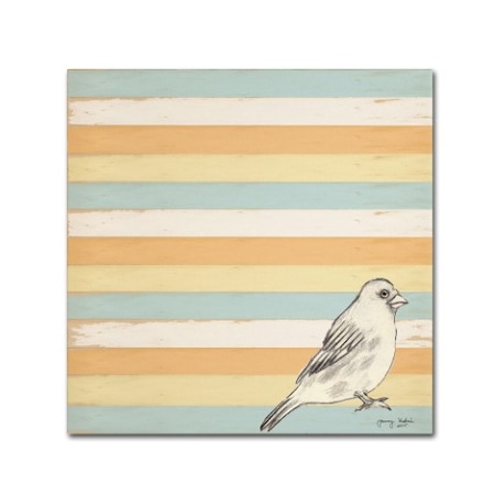 Tammy Kushnir 'Bird Stripes' Canvas Art,35x35